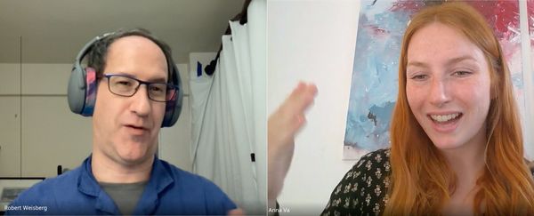 two people in a video chat: a man in a room with curtains, a woman with artwork behind her